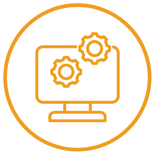 Software and IT Solutions